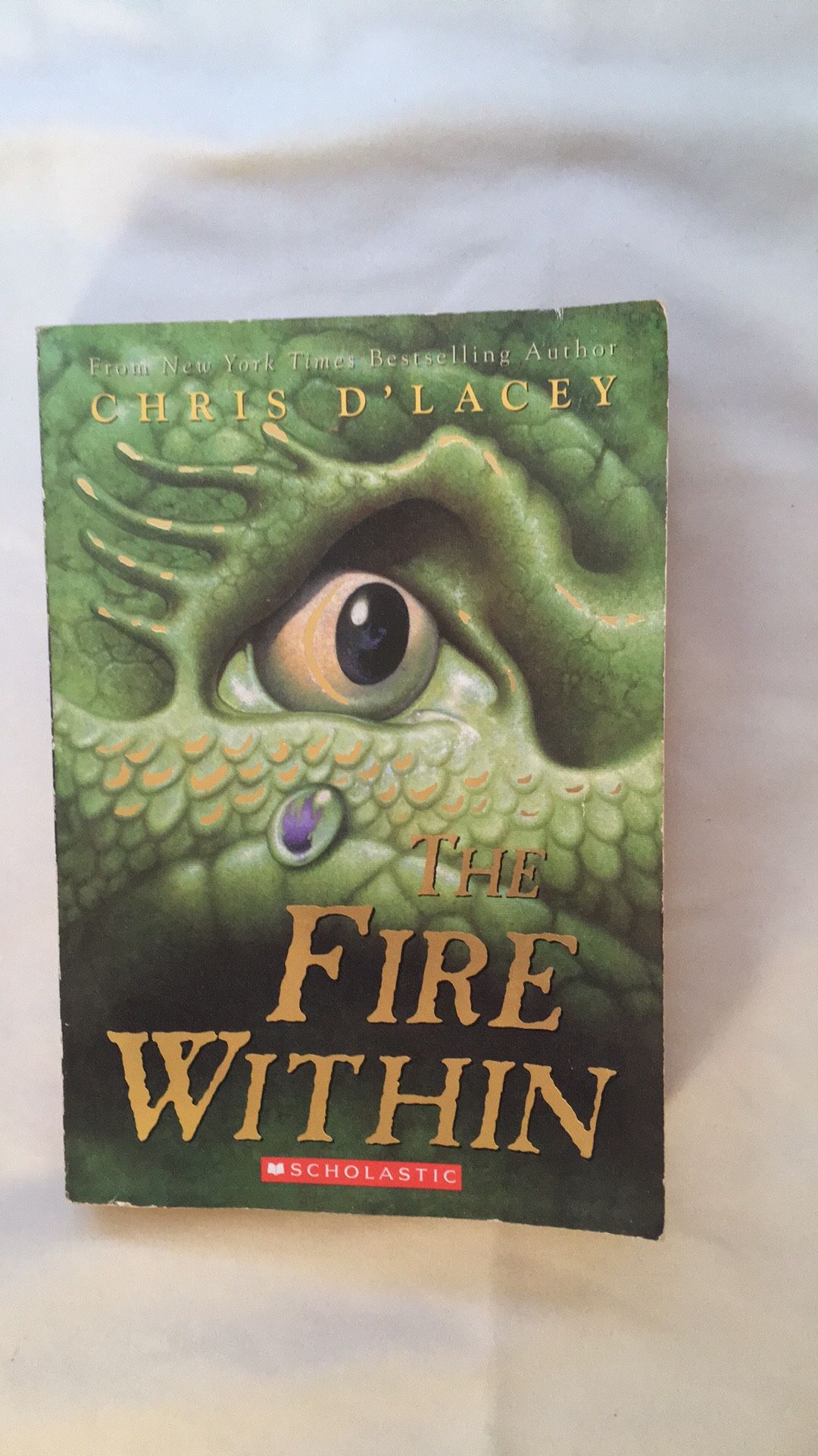 “The Fire Within” By Chris D’Lacey