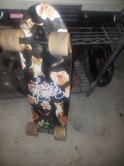 Skate board cruiser