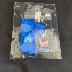 Disneyland Resort Mickey & Minnie Pin