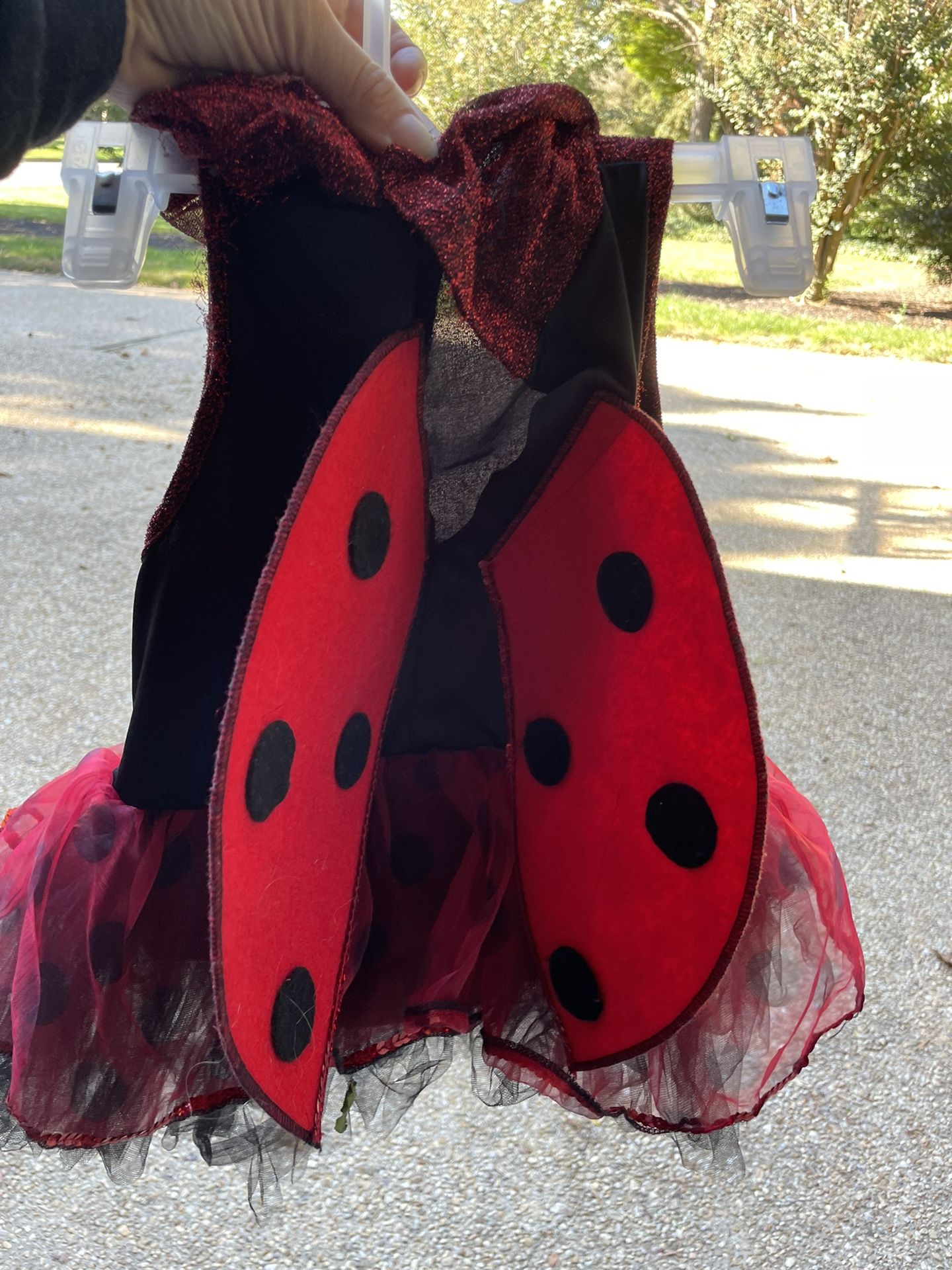 Lady Bug Costume - Toddler