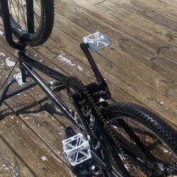 24in Tony Hawk Bike