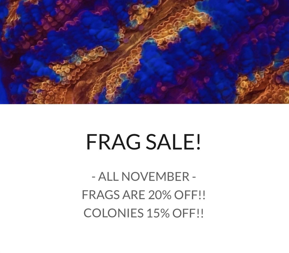 Frag & Coral Sale!