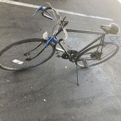 Schwinn Travelers Bike
