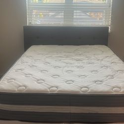 Bed Frame Mattress And Box Spring 