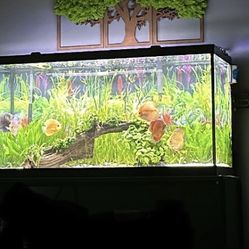 LIGHT BAR ONLY - Nicrew 48-60 Inch Light Bar For Aquarium