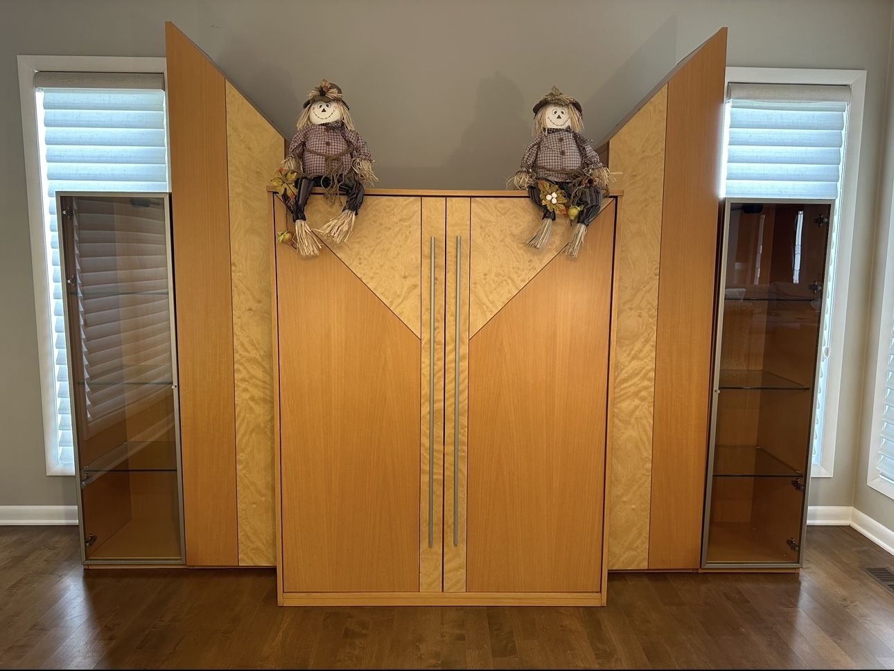 Contemporary Entertainment/Storage Cabinet - 5 pieces