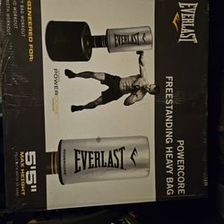 FREE STANDING PUNCHING  BAG