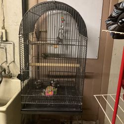 Large Bird Cage 