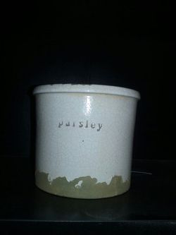 PARSLEY Herb pot