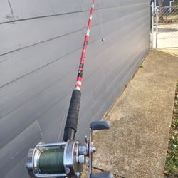 Fishing Rod+Reel Combo With 60lbs Test Braid