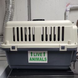Kennel 