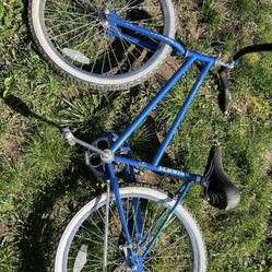 Schwinn Cruiser Bike 