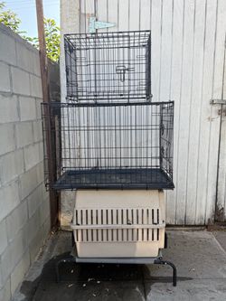 dog crates