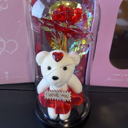 Mother’s Day Gifts Teddy Bear With Lights On A Glass Dome 