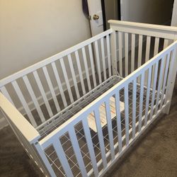 Toodler Baby Bed