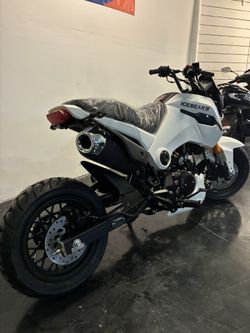 125cc Ice Bear Fuerza Motorcycle