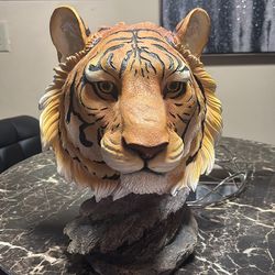 Tiger head