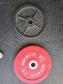 45 LBS Weights