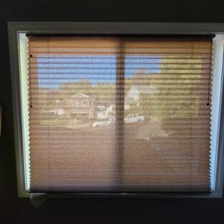 Blinds