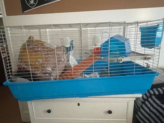 Cage