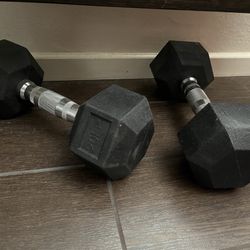 20 Lbs Weighted Dumbbells 