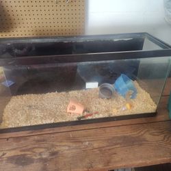 Fish Tank Not Sure The Suze