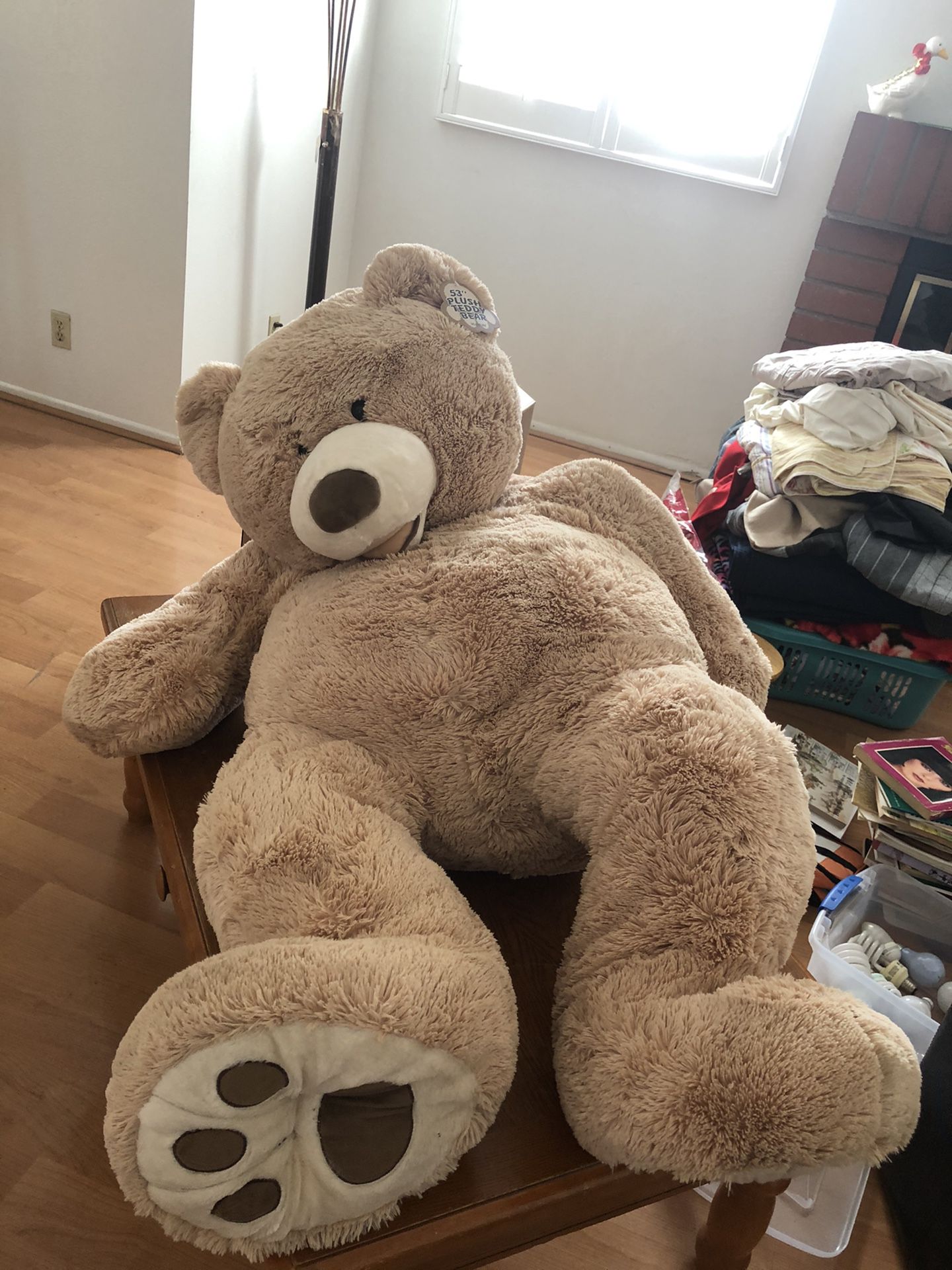 53” teddy bear