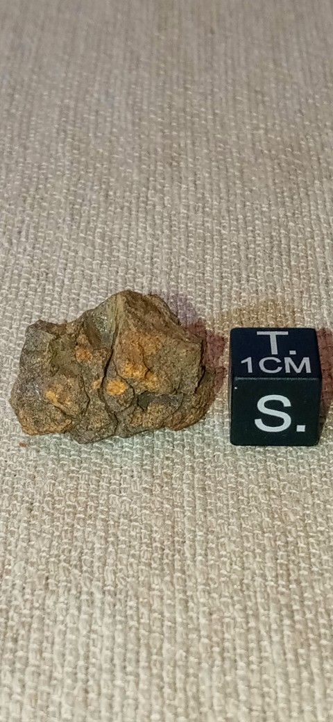 Sericho Kenyan/African Pallasite Meteorite Fragment 5.8 grams