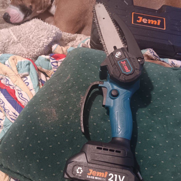 21 Volt MINI chainsaw Comes With 2 Batteries And Charger Extra CHAIN HARD CASE GLOVES AND GOGGLES