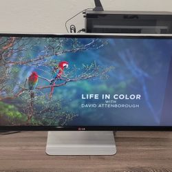 LG 34” 3440 x 1440 UltraWide Full HD 21:9 Monitor, Mac Pro Supported (34UM95-P)
