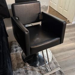 Salon Chair 
