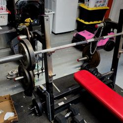 Professional Bench Bench Press