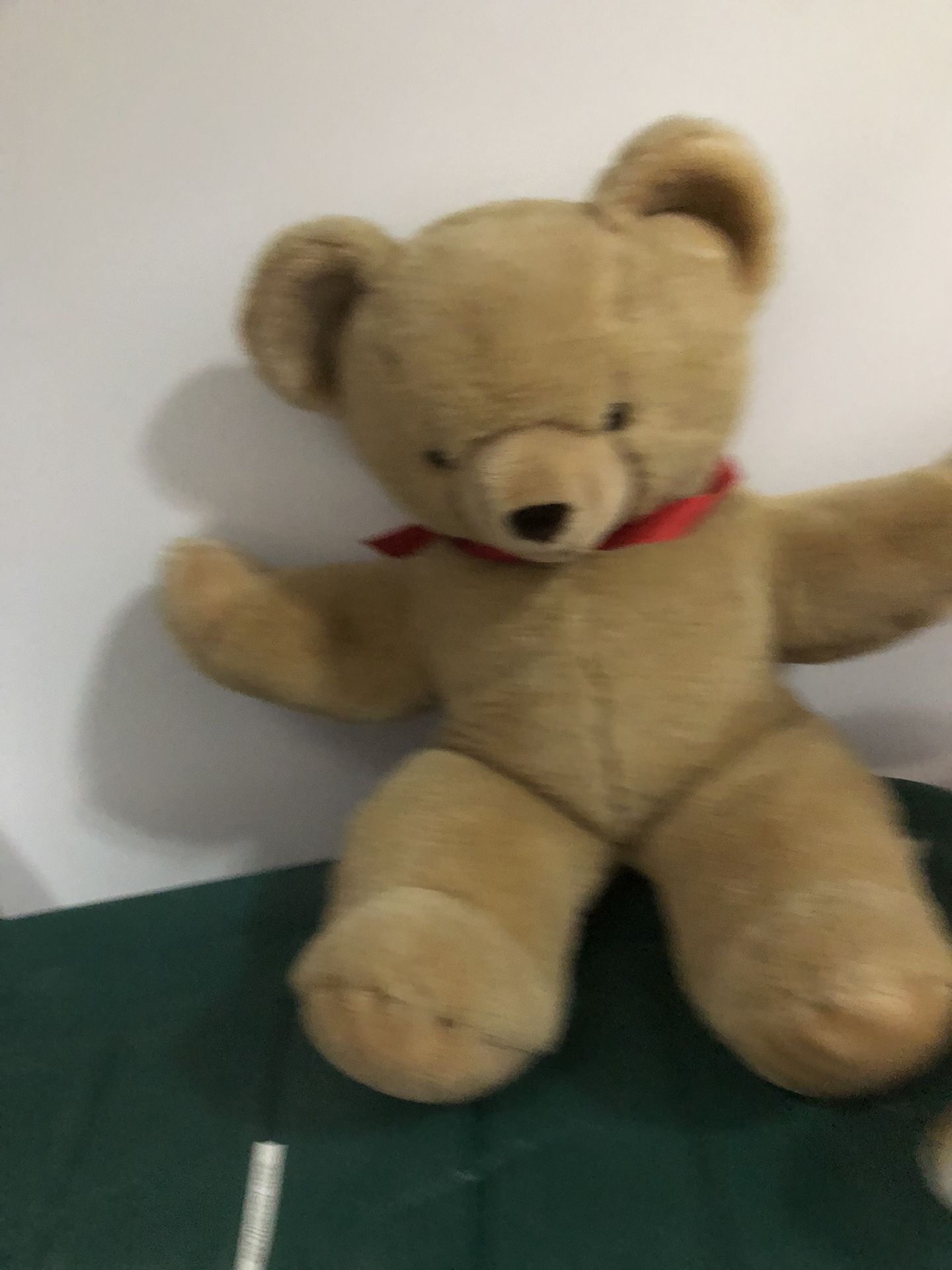 Stuffed Animal Ned To Large TeddyBear