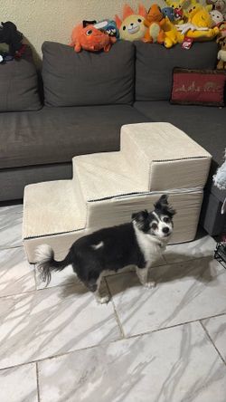 Dog steps