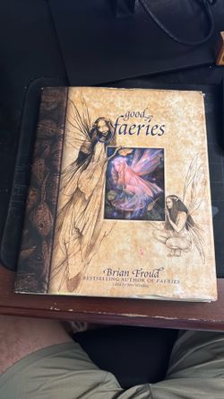 Good / Bad Faeries hard back book