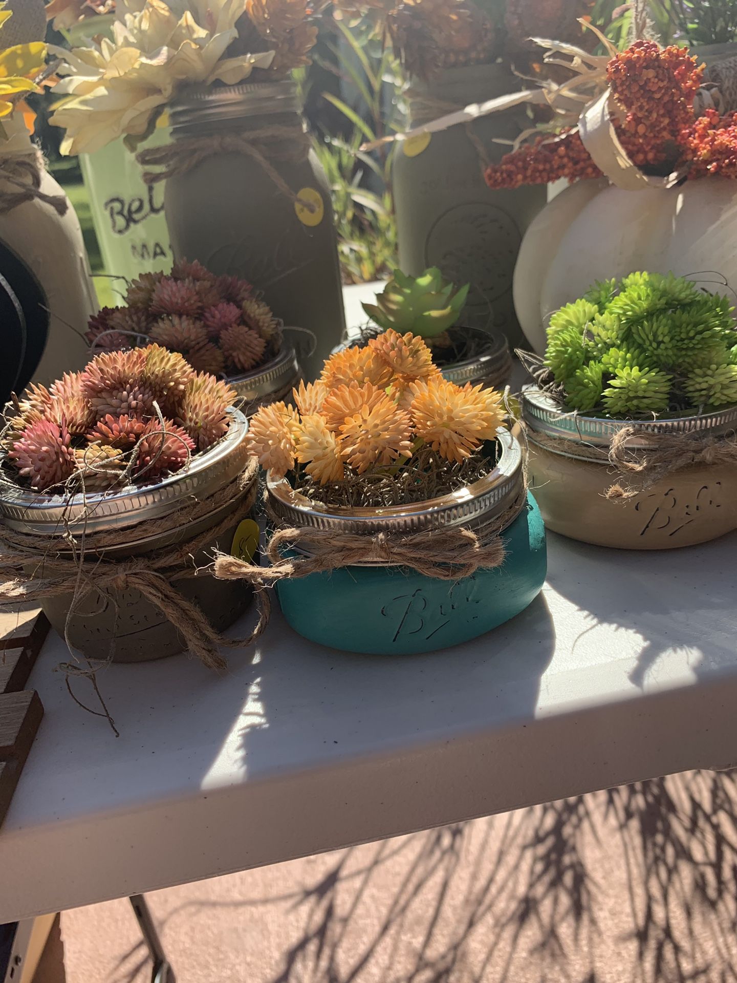 Succulents with Mason Jar