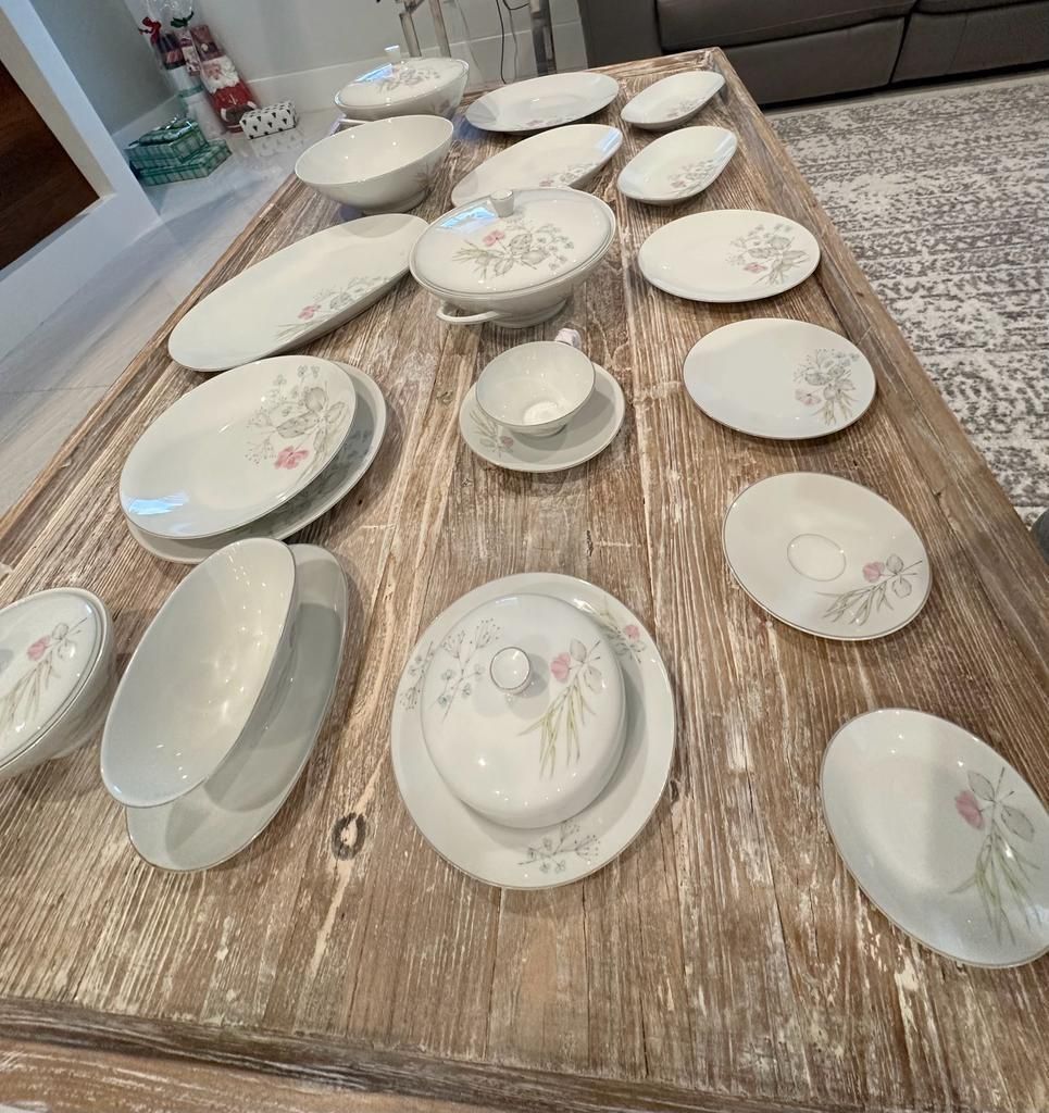 Rosenthal Germany Fine China - 123 Pieces
