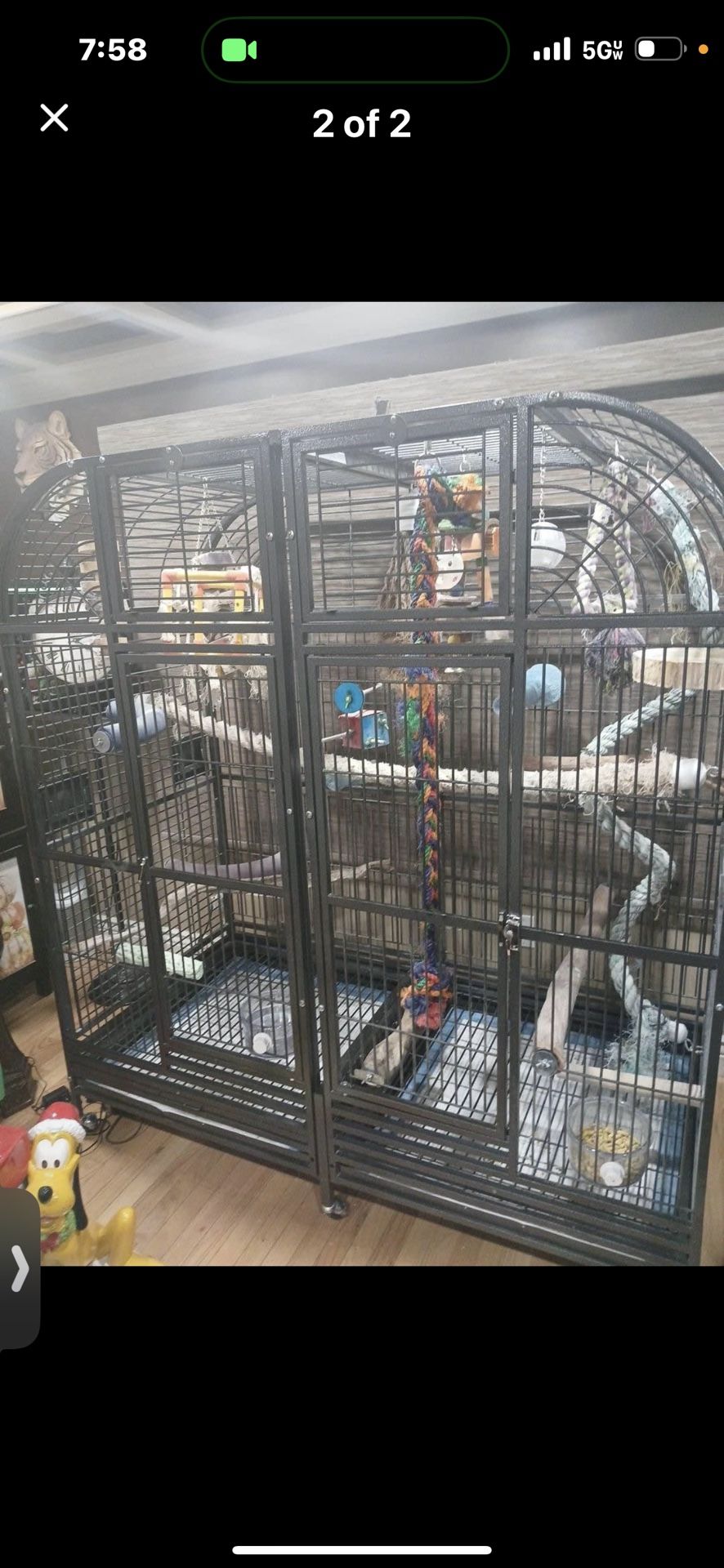 Double Cage, King’s Cage