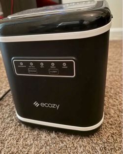 Ice maker