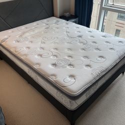 Queen Zinus Mattress 