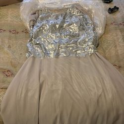 Silver Nightgown 
