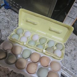 FARM FRESH EGGS