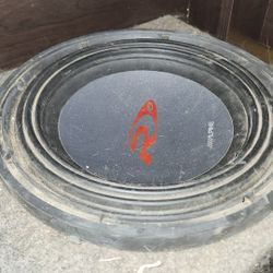 Alpine Type R 10 Dual 2 Ohm 750w Rms In Ported Box