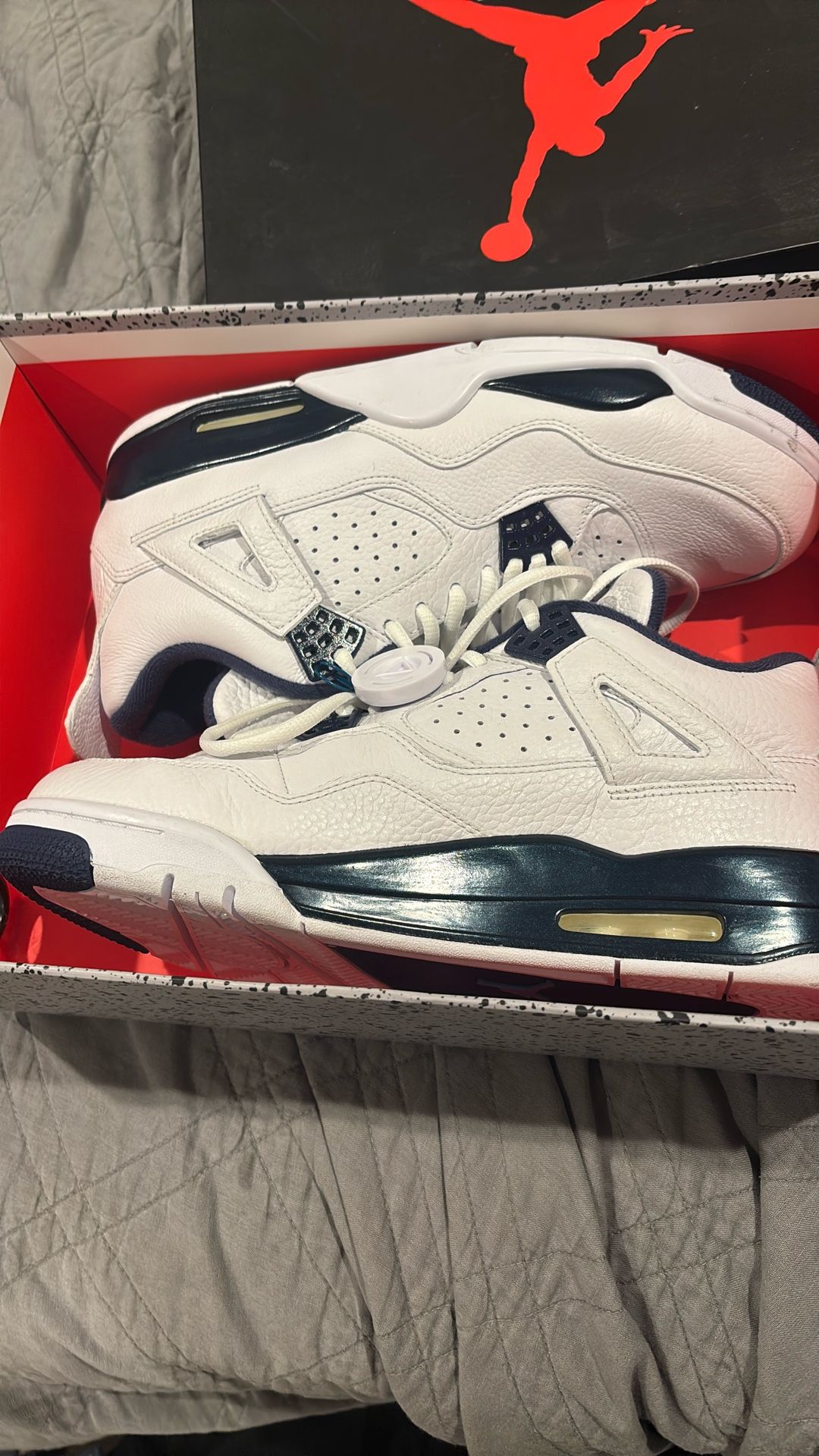 Air Jordan 4 Retro LS Size 11 Worn Once