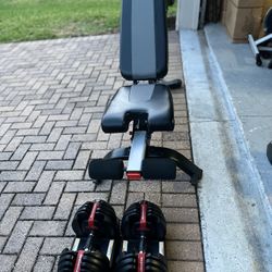 Set Bowflex Dumbells 52.5 With Bench Adjustable All Like New