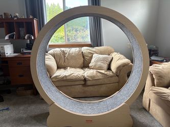Cat running wheel