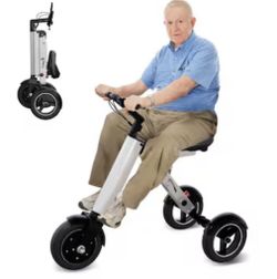 Foldable Electric Tricycle For Adults