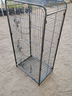 Cage birds