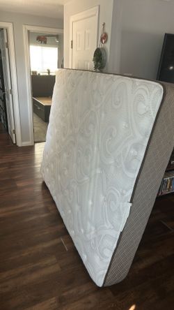 FREE Queen Mattress