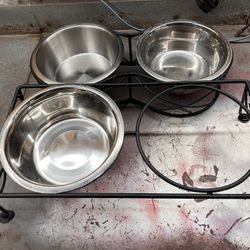 Two Dog Food And Water Trays And Three Dishes Missing One Dish